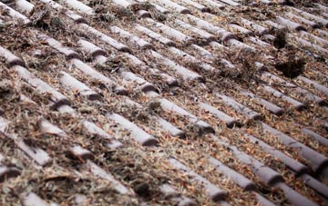 Green Cross roof cleaning companies