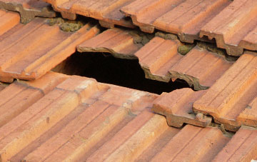 roof repair Green Cross, Surrey