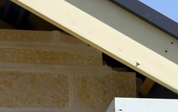 soffit repair Green Cross